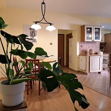 Apartment In The Heart Of The Bratislava