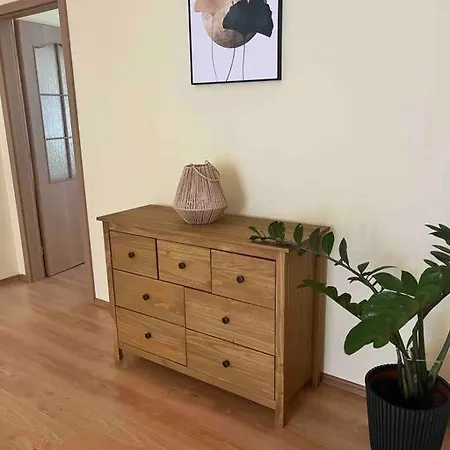 In The Heart Of The Apartamento *